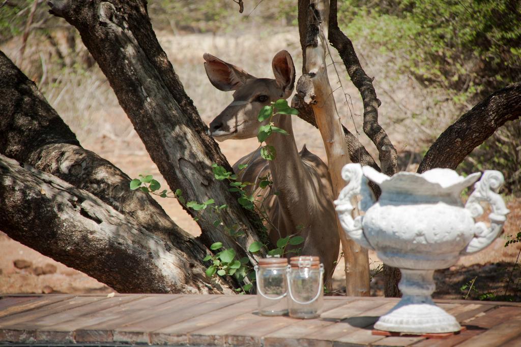 Mvuradona Safari Marloth Park
